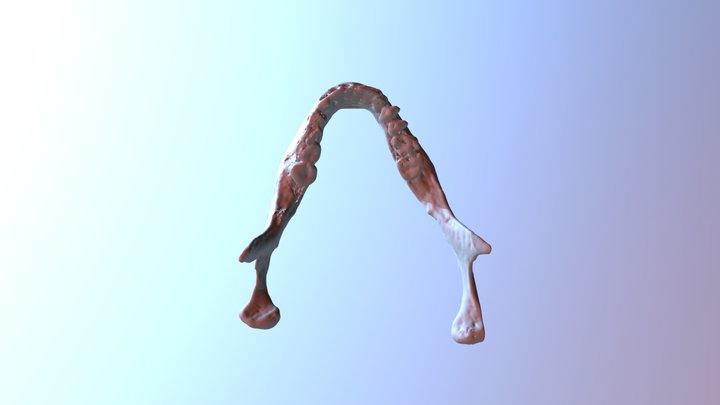 Sketchfab_2018_12_12_22_44_51 3D Model
