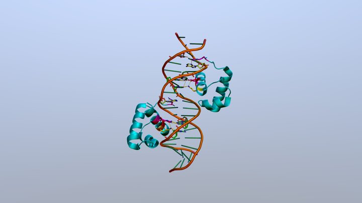 1w0t (Telomeric repeat-binding factor 1) 3D Model