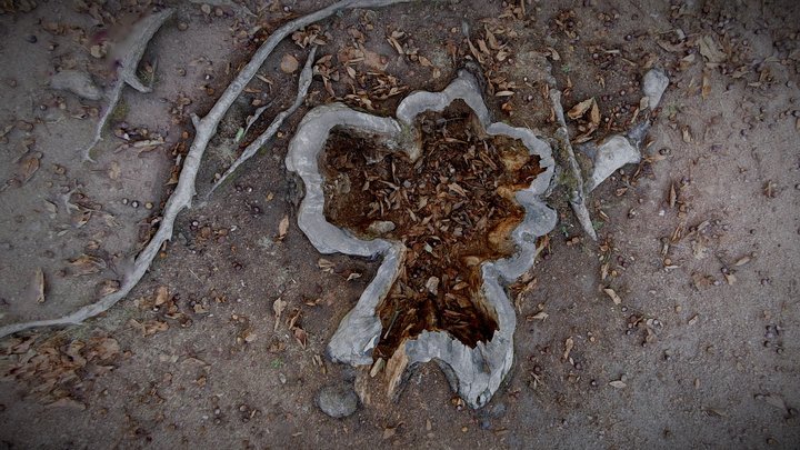 Rotten tree stump – Modelo 3D gratuito STL