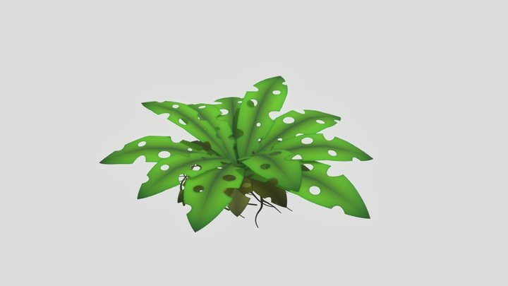 Leaf 3D Model
