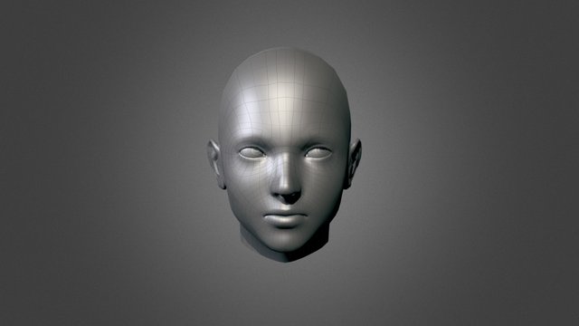 Head Base Mesh 3D Model