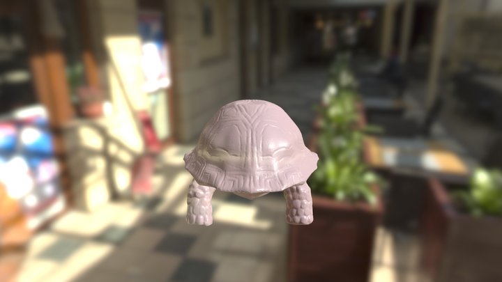 Turtle 3D Model