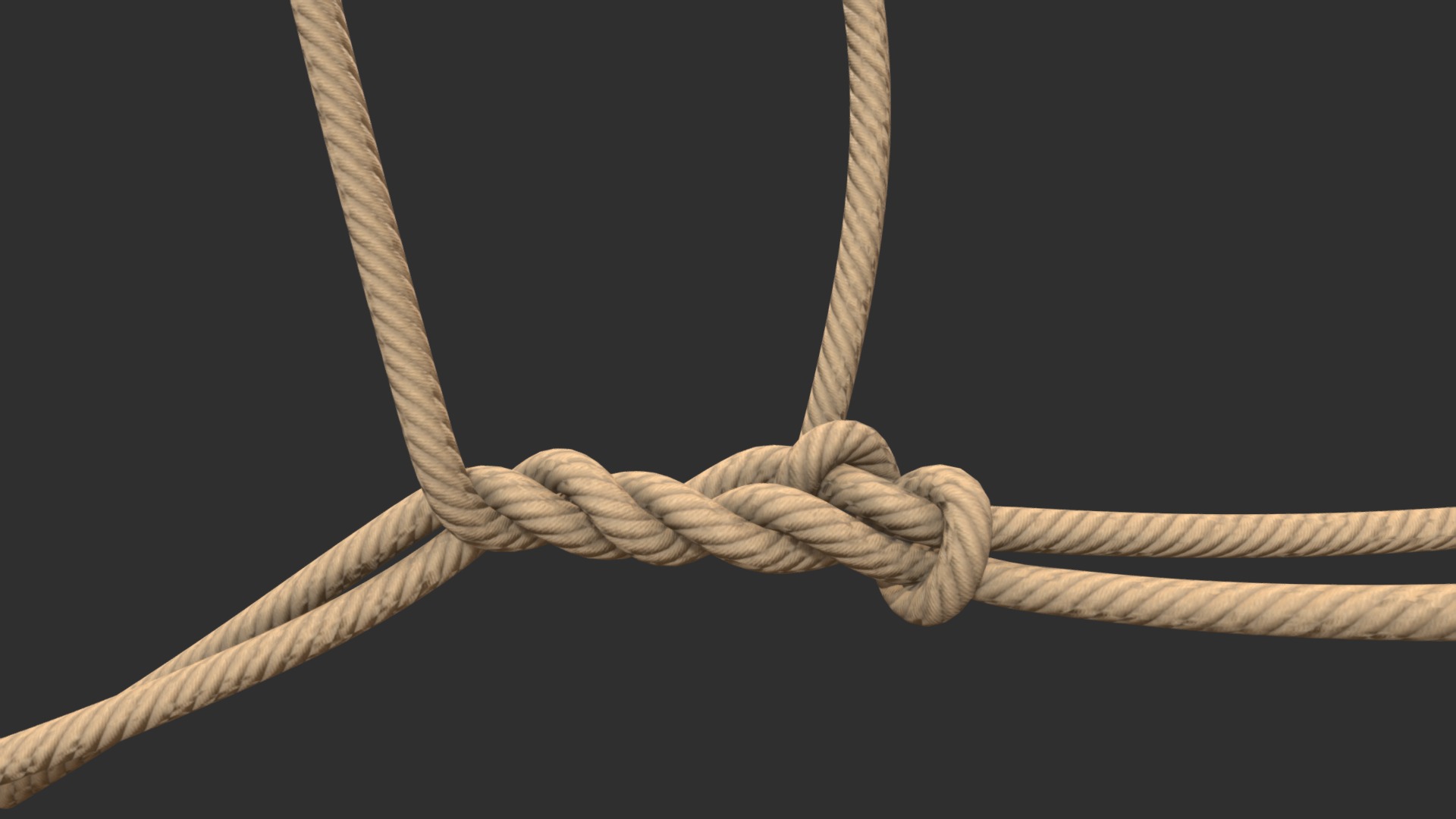 3D model Rope - This is a 3D model of the Rope. The 3D model is about a close-up of a rope.