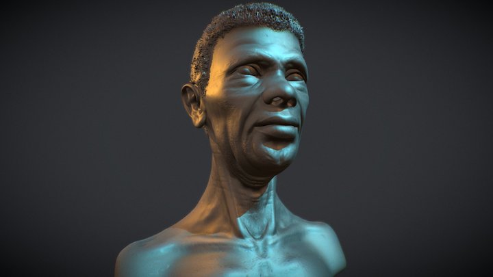 Female Head 3D Model