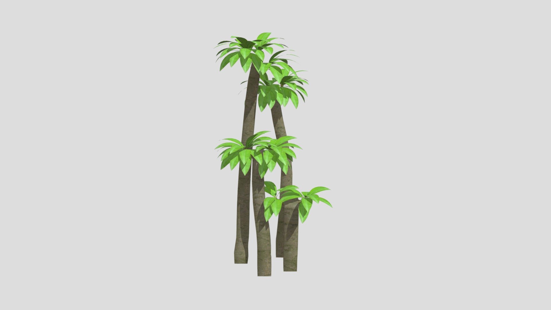 Test8