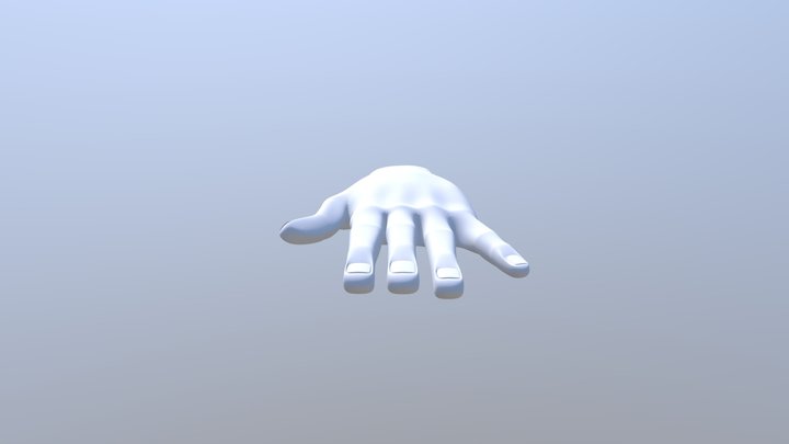 Hand Study 3D Model