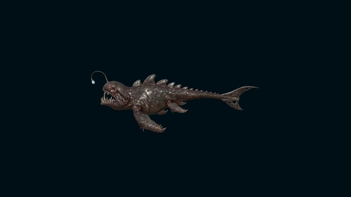 Anglerfish 3D models - Sketchfab