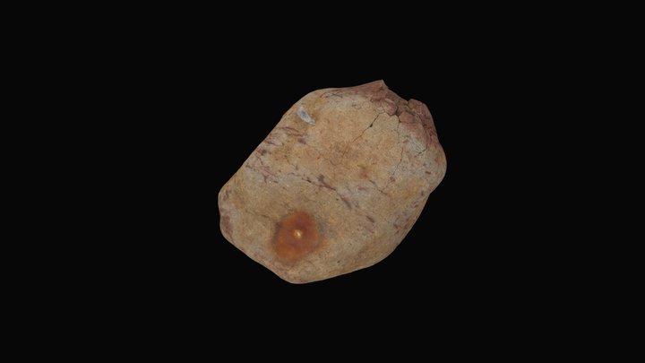 Hand Sample Grumantbyen Formation Svalbard 3D Model