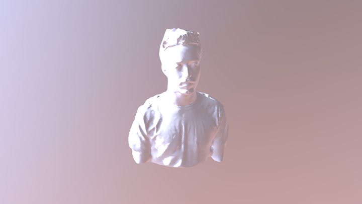 Luke Photogrammetry 3D Model