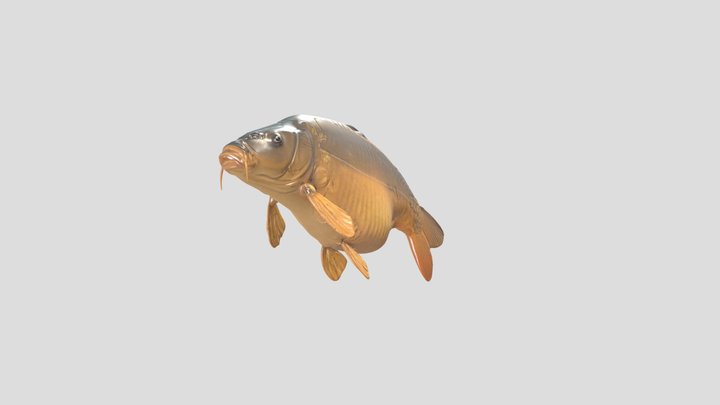 Mirror Carp Final – Modelo 3D gratuito STL