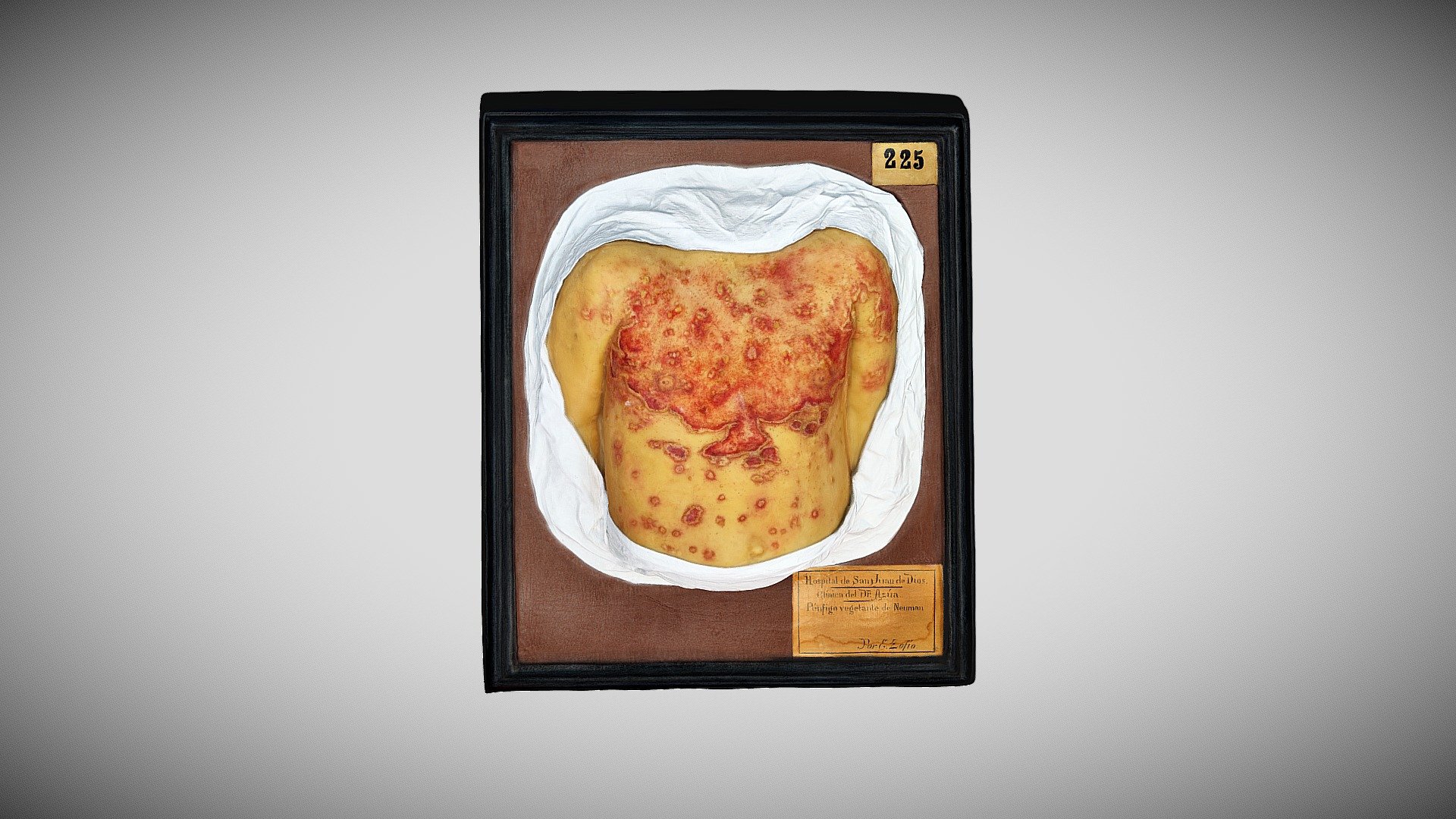 144 - 083 — Sketchfab embed 3D viewer