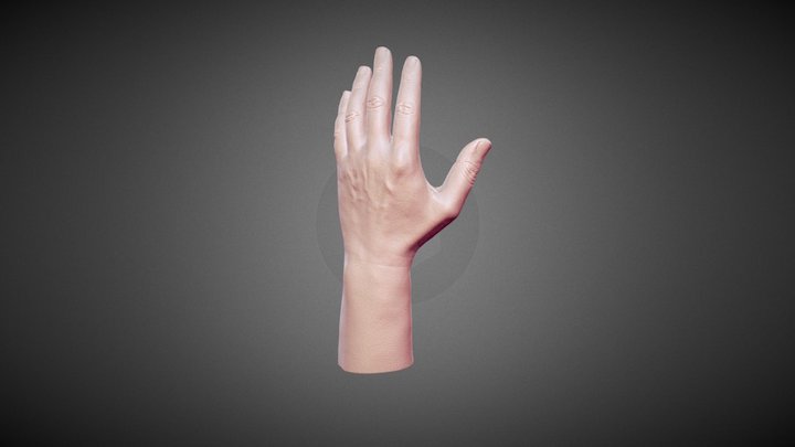 scan_hand_1M 3D Model
