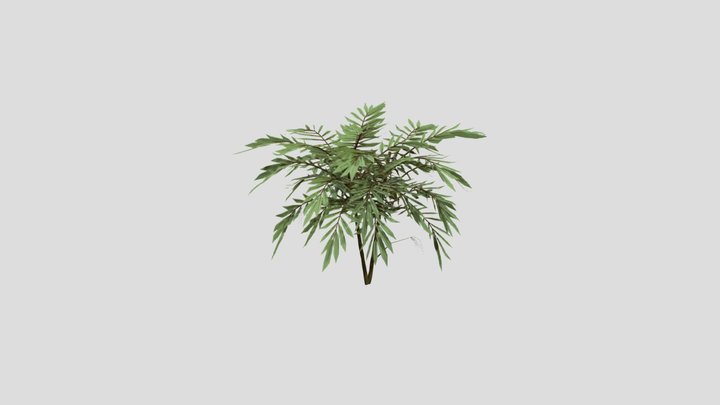 GP Shrubs Mahonia Confusa 3D Model