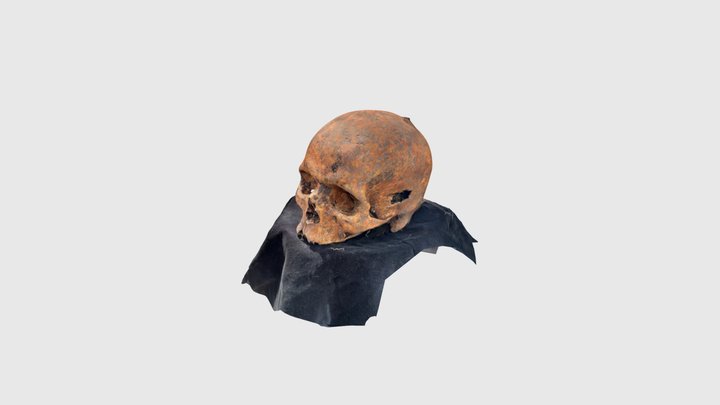BI23 rat island sk8 3D Model