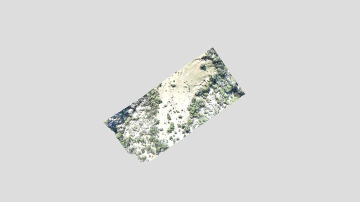 PARCELA 193 3D Model