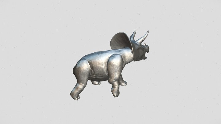 Triceratops Token 3D Model