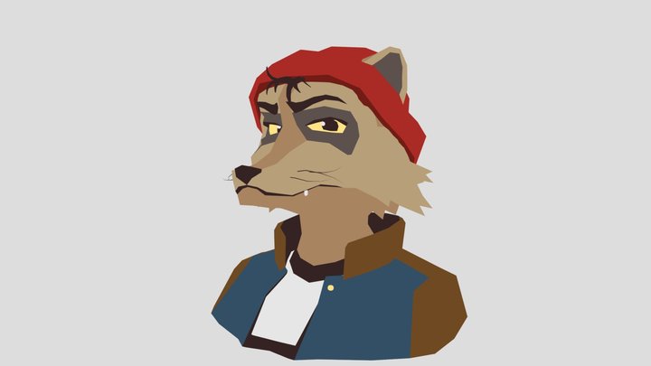 Raccoon 3D Model