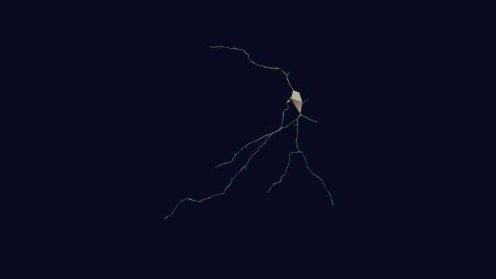 Neurona Neurone 3D Model