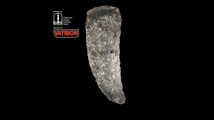 Cuțit curb de silex / Curved flint knife 3D Model