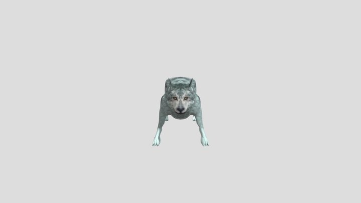 uploads_files_1947050_wolf 3D Model