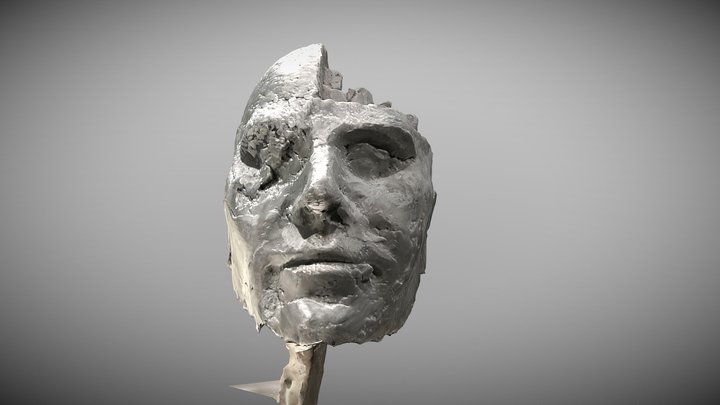 HEAD 3D Model