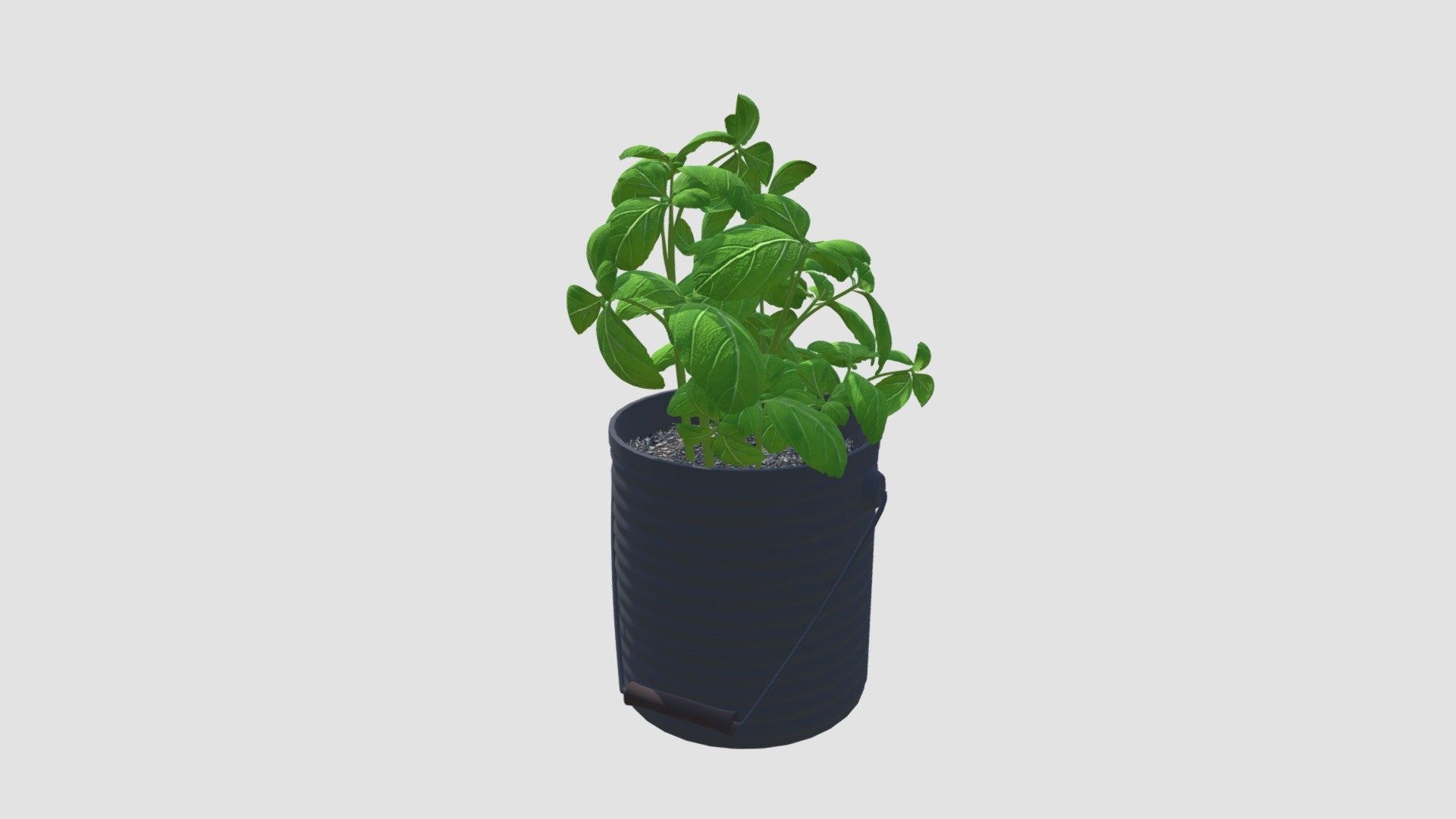 basil Buy Royalty Free 3D model by Evermotion evermotion