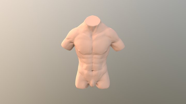 Male Torso 3D Model