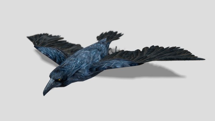 Crow – Stylized Animated 3D Model – Modello 3D gratuito STL