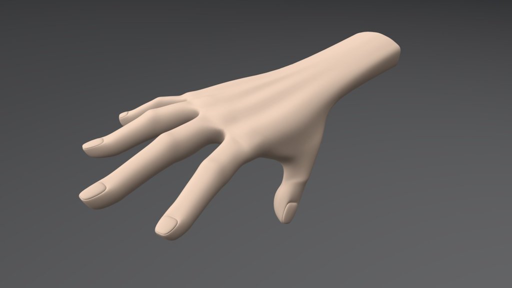 3D Hand model