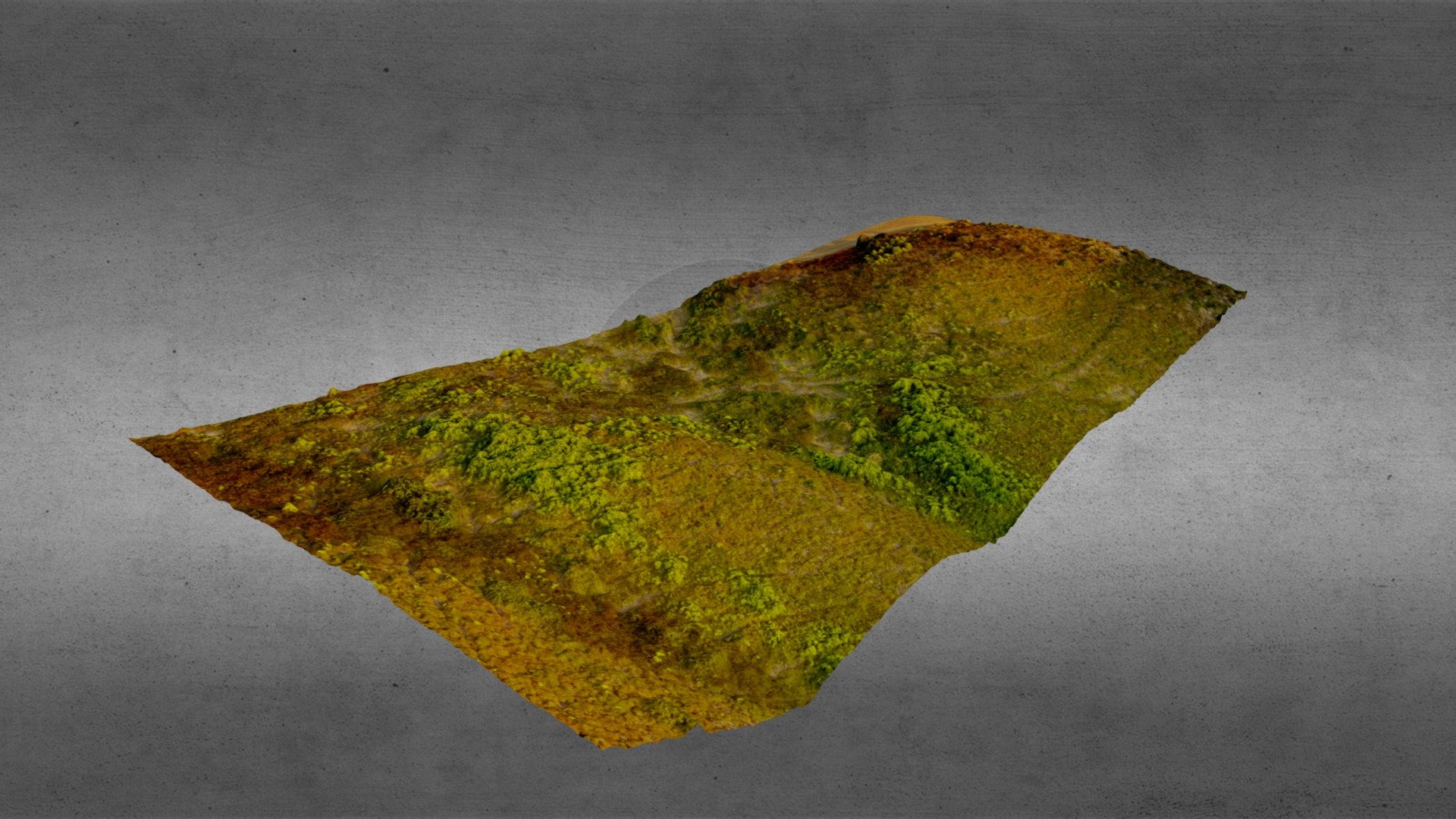 Terrain 3D Model of vegetated field