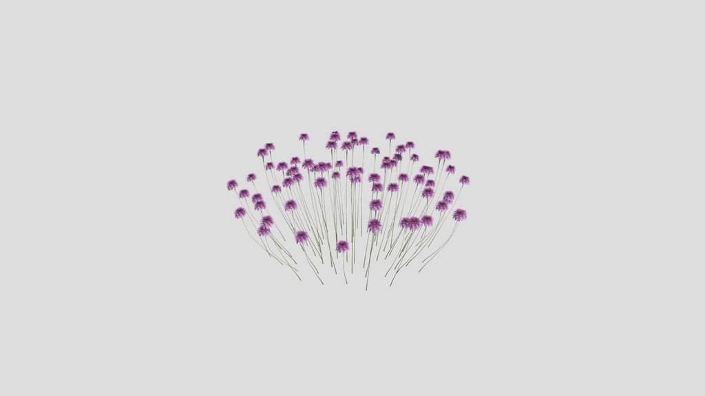 Sj Forest Whisper Blooms