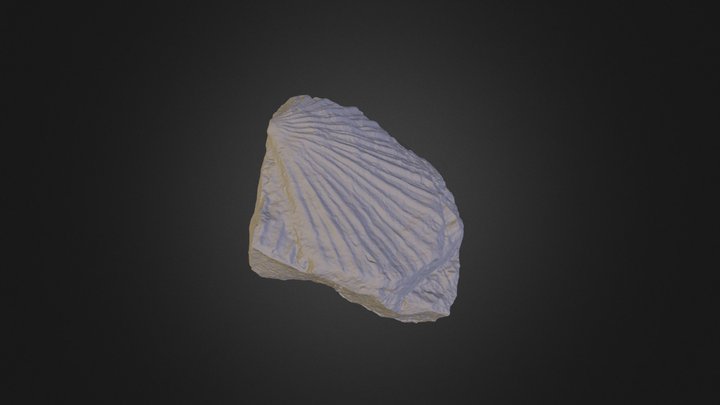 Monotis 3D Model