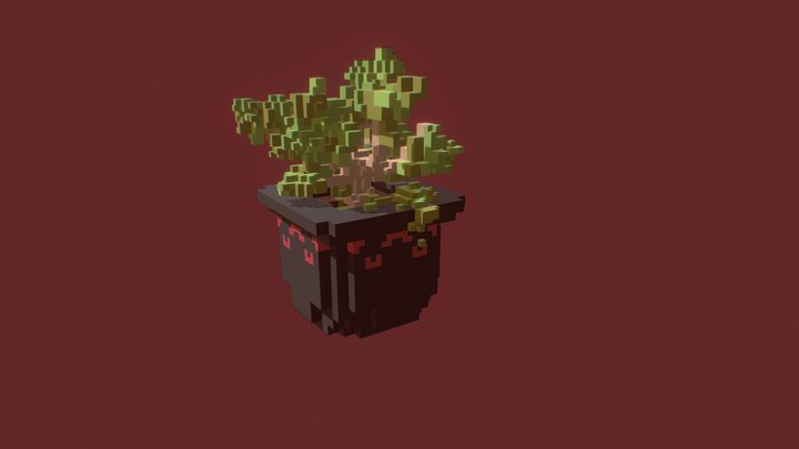 Bonzai Tree 3D Model