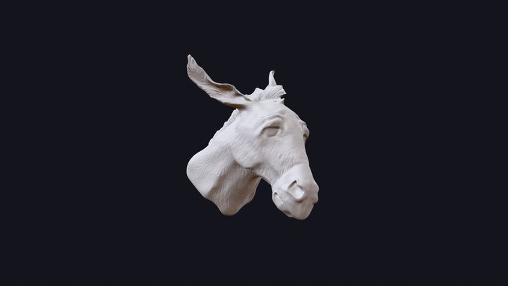 donkey 3D Model