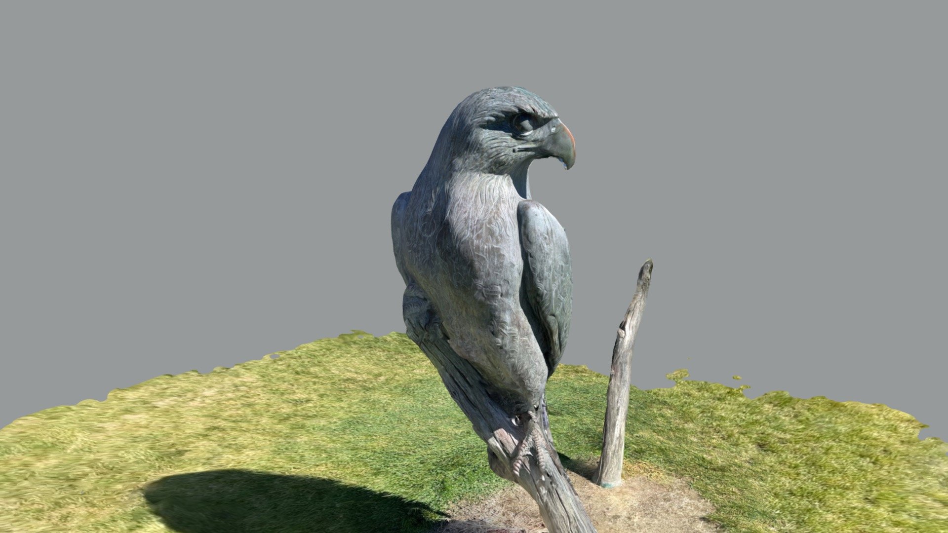 Aguila