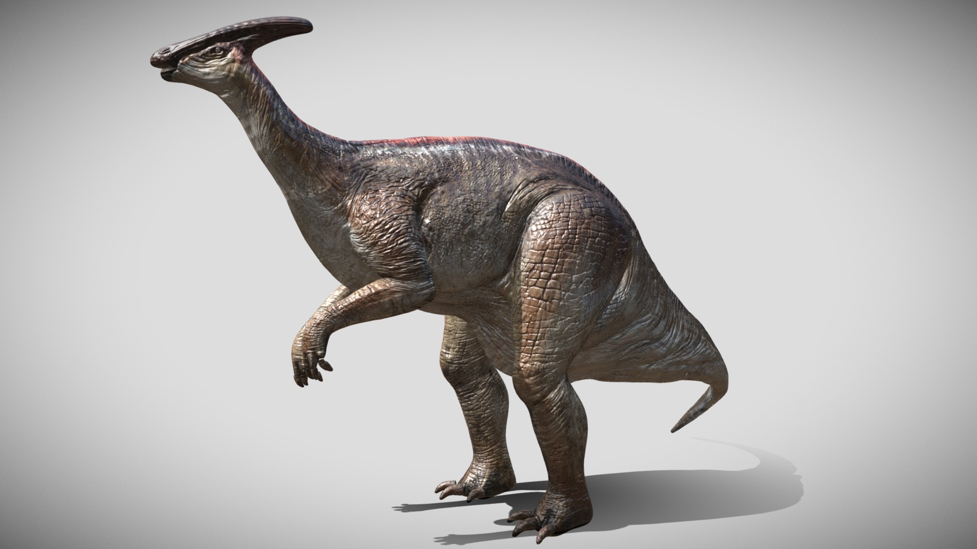 3D model Parasaurolophus 3D Rigged model - This is a 3D model of the Parasaurolophus 3D Rigged model. The 3D model is about a dinosaur with a long neck.