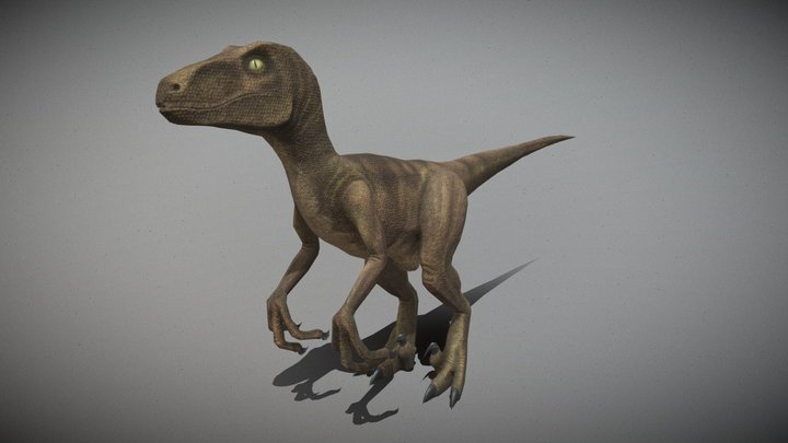 Raptor-dinosaur 3D models - Sketchfab