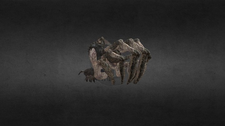 Corpser 3D Model