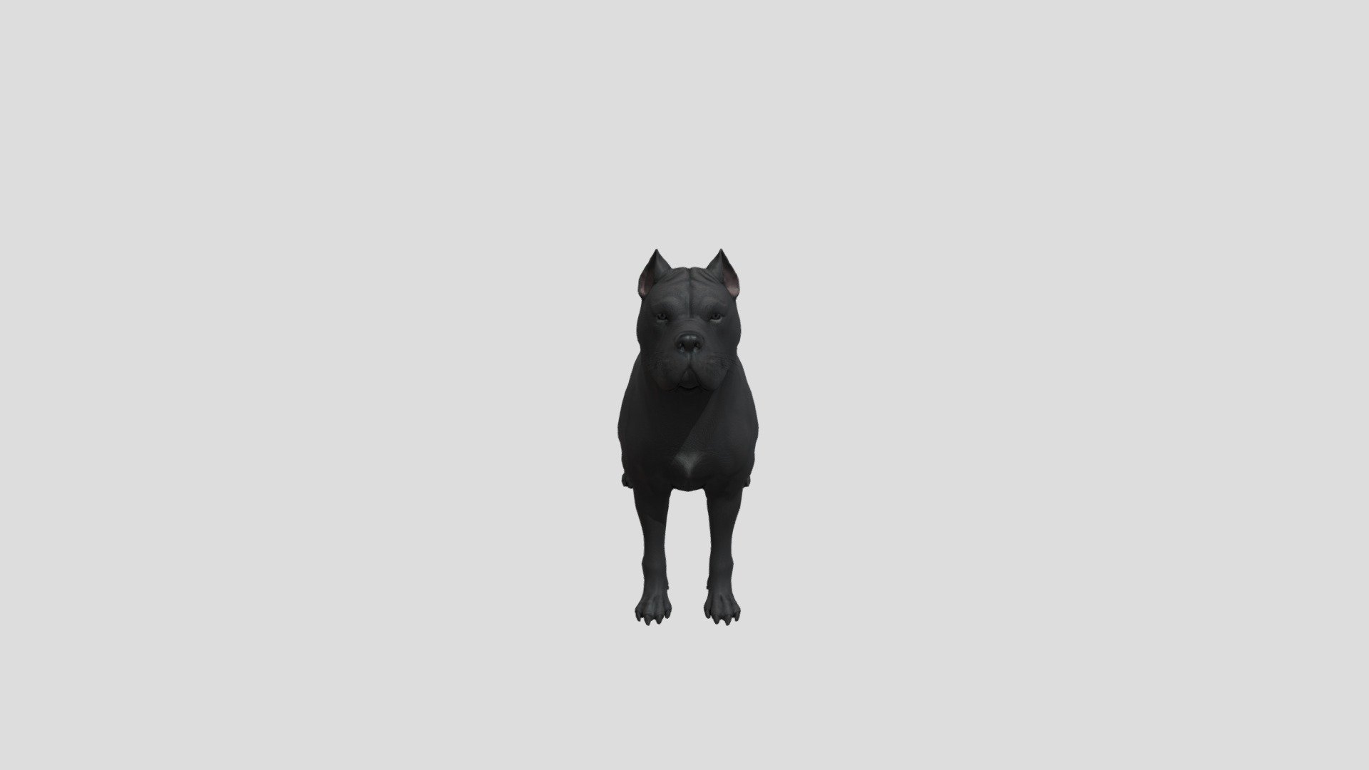 Dog Cane Corso Buy Royalty Free 3D Model By Phil3D philosophie dog-cane-corso-buy-royalty-free-3d-model-by-phil3d-philosophie