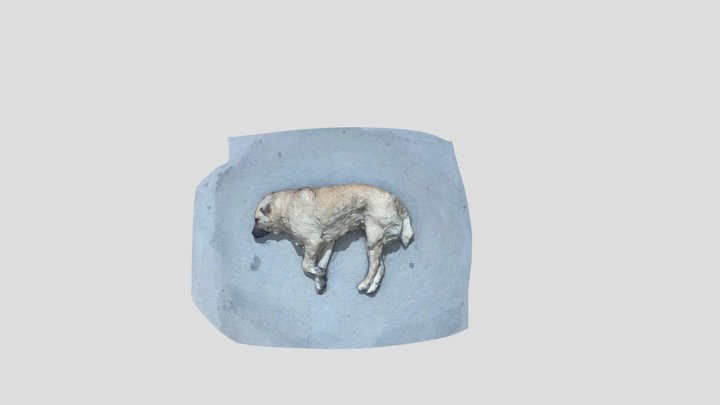 tbilisi_dog2 3D Model