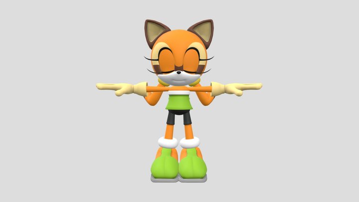 Marine the Raccoon 3D Model
