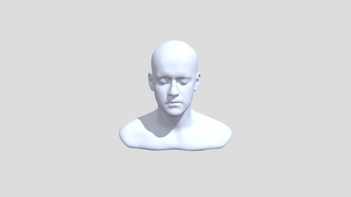 上半身人头像 3D Model