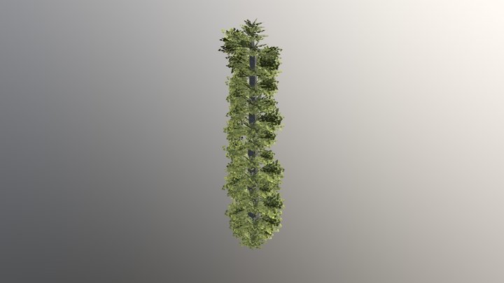 testtree 3D Model