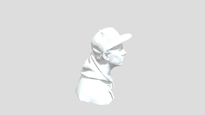 MattsFaceScan 3D Model