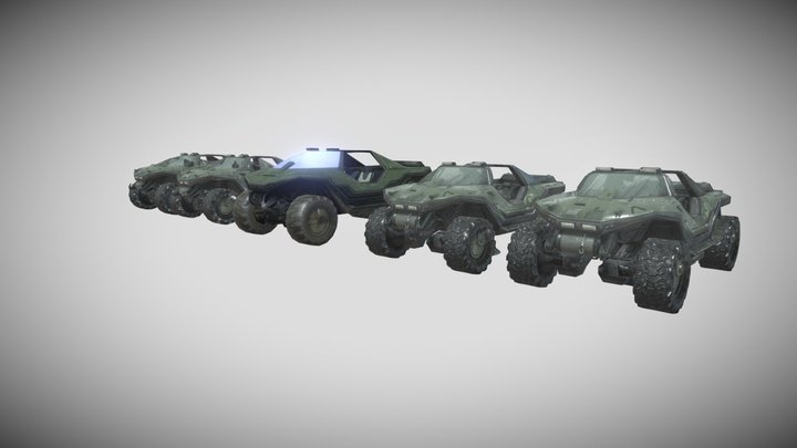 Warthogs