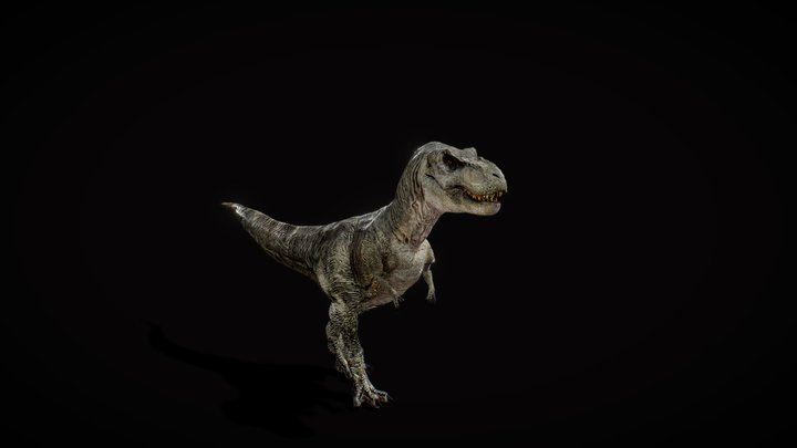 trex 3D Model