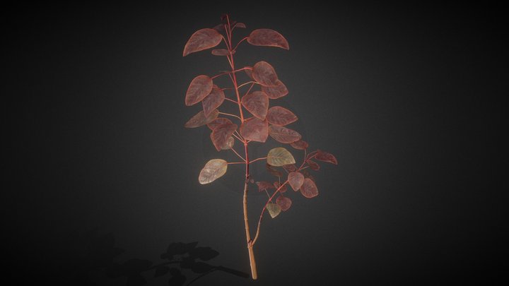 Red Shrub Plant 3D Model