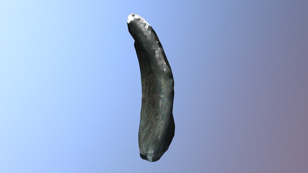 horn4