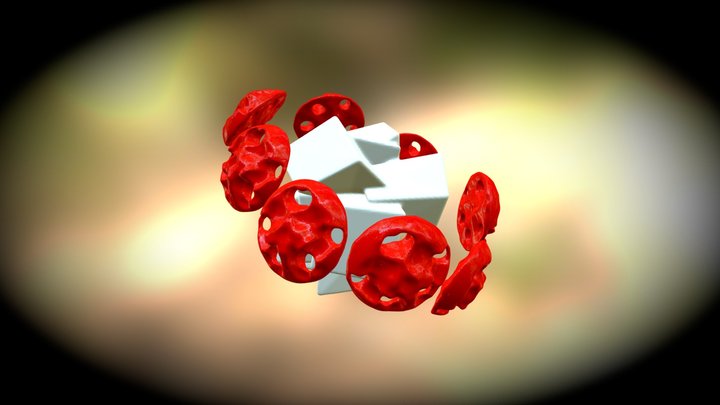 Primus synthetica 3D Model