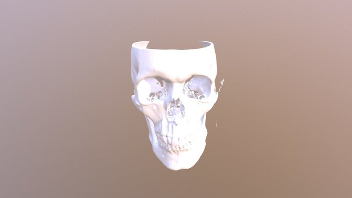 RK Skull - 6-1-16 3D Model